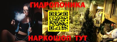 молекула духа Лесосибирск