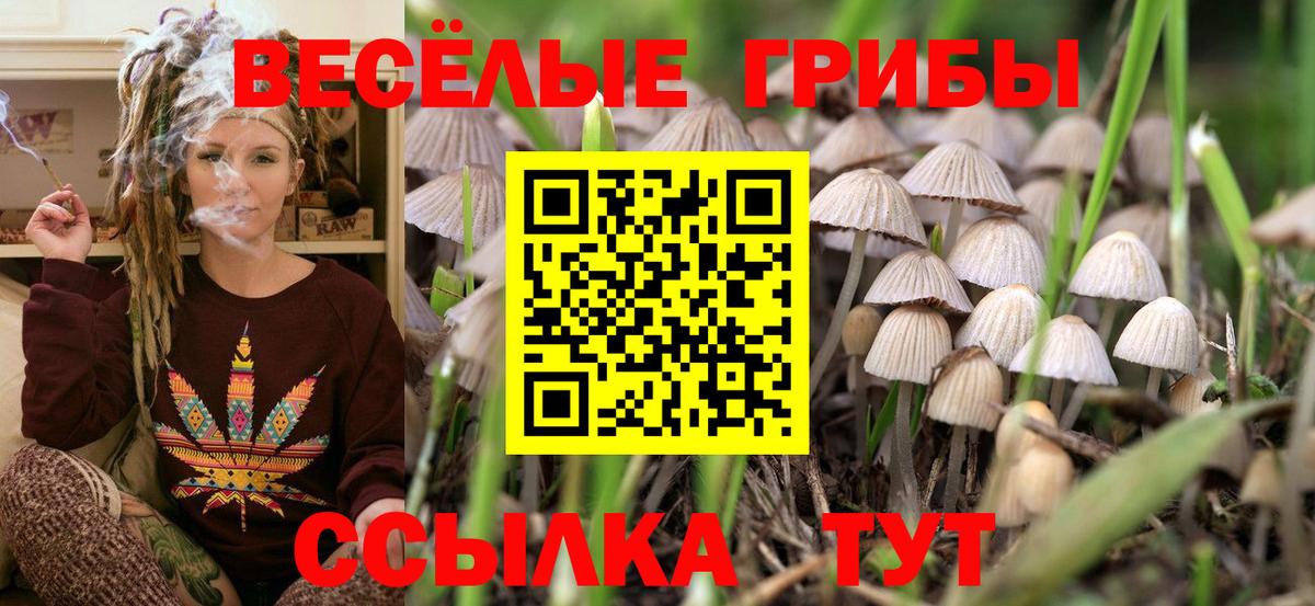 Галлюциногенные грибы мухоморы  Вход с VPN  Щёлково 