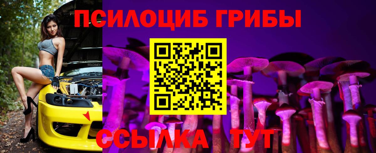Псилоцибиновые грибы Magic Shrooms Щёлково